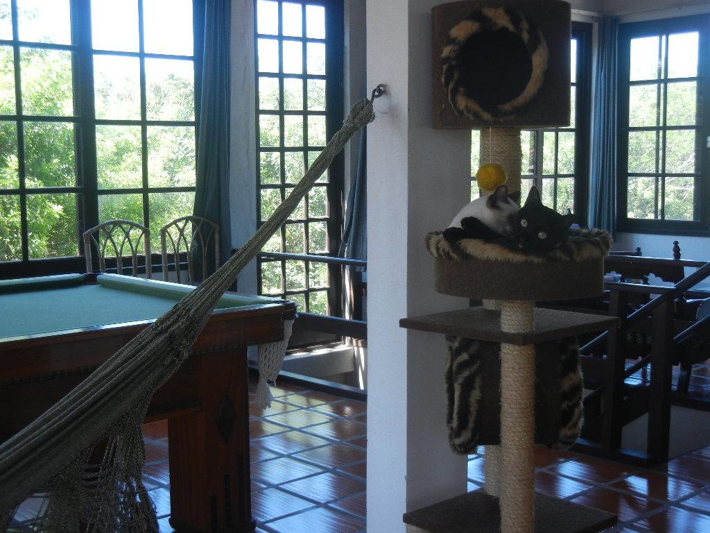 מלון Florianópolis The Cats' House מראה חיצוני תמונה