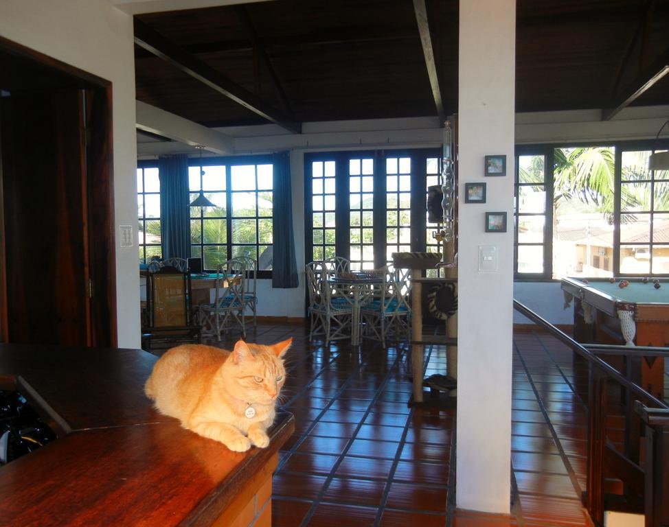 מלון Florianópolis The Cats' House מראה חיצוני תמונה