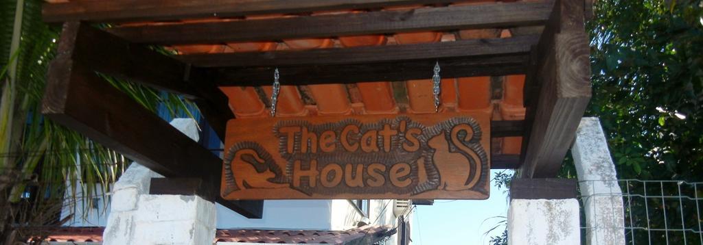 מלון Florianópolis The Cats' House מראה חיצוני תמונה