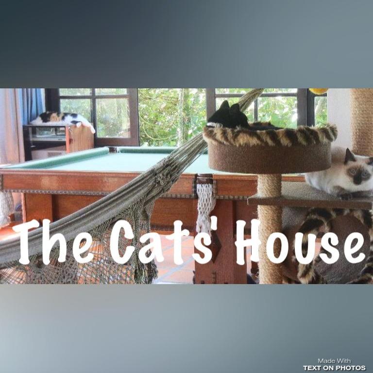 מלון Florianópolis The Cats' House מראה חיצוני תמונה