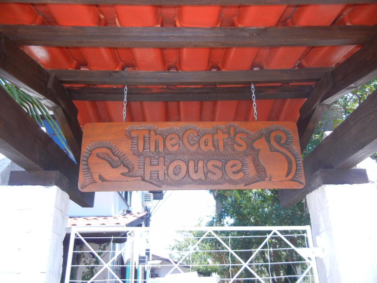מלון Florianópolis The Cats' House מראה חיצוני תמונה