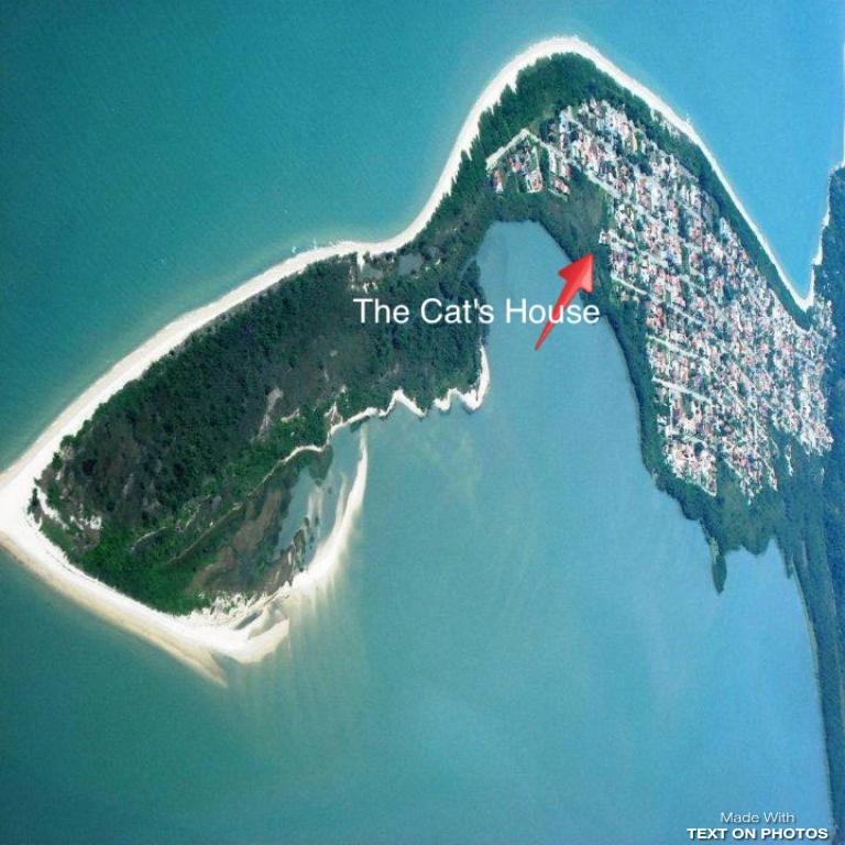 מלון Florianópolis The Cats' House מראה חיצוני תמונה